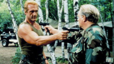 Imagen de Arma final - 5