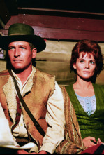 Imagen de Un hombre - 4