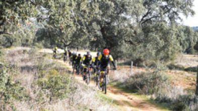 Imagen de A piñón fijo - 5