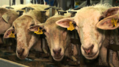 Imagen de Sustraia - 5