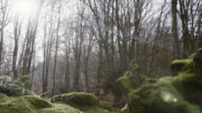 Imagen de Gutik Zura - 5