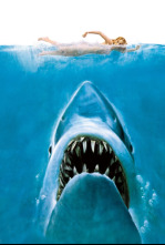 Imagen de Tiburón - 4