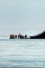 Imagen de El vuelo del águila - 4