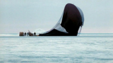 Imagen de El vuelo del águila - 5