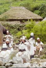 Imagen de La línea negra - 4