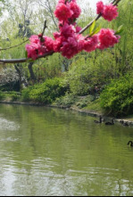 Imagen de El Gran Canal de China: el viaje de un fotógrafo - 6