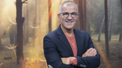 Imagen de Eguraldia ETB1 - 5