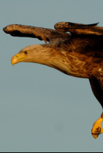 Imagen de Carrera contra el invierno - 4