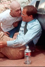 Imagen de Sunchaser - 4