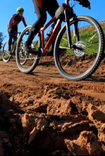 Imagen de A piñón fijo - 4