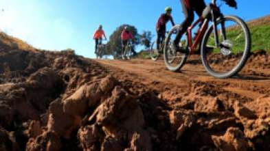 Imagen de A piñón fijo - 5