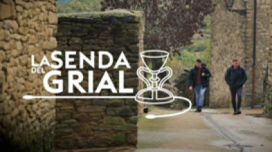 Imagen de La senda del grial - 5