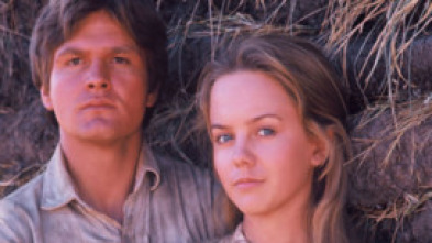 Imagen de Los jóvenes pioneros - 5