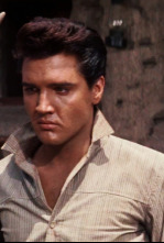 Imagen de La estrella de fuego - 4