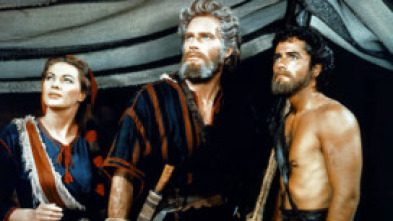 Imagen de Los diez mandamientos - 14