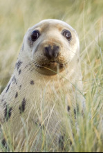 Imagen de Nacidos de la tormenta  - 6