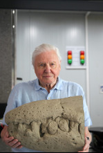 Imagen de Attenborough y el monstruo jurásico - 13