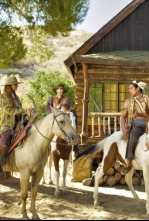 Imagen de Yellow Rock - 4