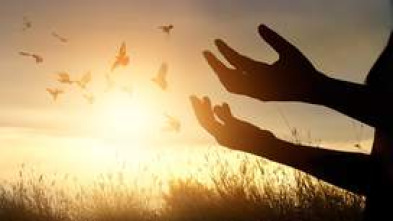 Imagen de Especial relixioso - 5