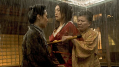Imagen de Memorias de una geisha - 15