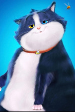 Imagen de 10 vidas - 4