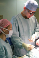 Imagen de Desastres estéticos en el extranjero - 4