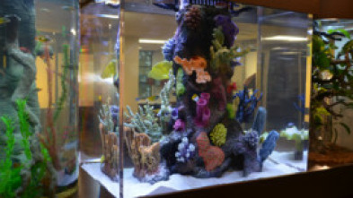 Imagen de Acuarios XXL: El acuario real de Prince Royce - 5