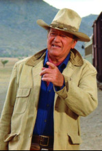 Imagen de Ladrones de trenes - 6