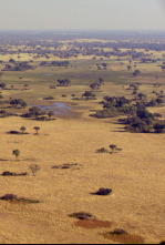 Imagen de Adversarios definitivos - 7