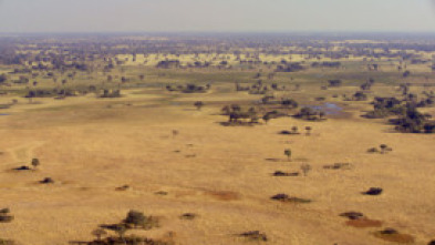 Imagen de Adversarios definitivos - 8