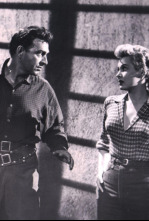 Imagen de Noche salvaje - 4