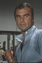 Imagen de Callejón sin salida - 4