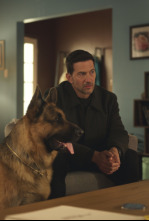 Imagen de Hudson & Rex (T8) - 8
