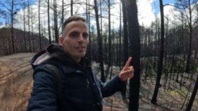 Imagen de Lo + Cool (T6): Gigiis 2 - 5