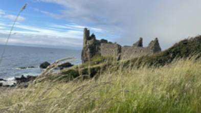 Imagen de Los secretos del castillo  - 5