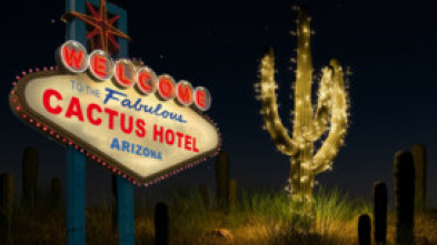 Imagen de El hotel cactus - 15