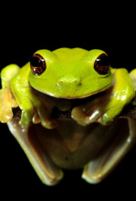 Imagen de Expedición Nueva Guinea  - 4