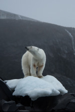 Imagen de Guerreros de los océanos - 13