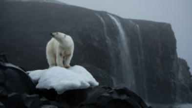 Imagen de Guerreros de los océanos - 14