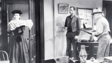 Imagen de El último sol - 5