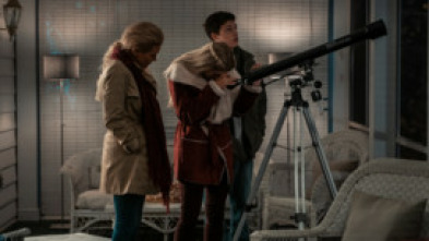 Imagen de Secretos en el lago - 10