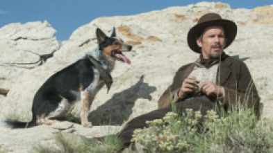 Imagen de El valle de la venganza - 5