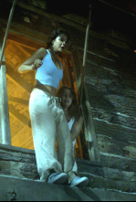 Imagen de Km. 666 - 4