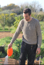 Imagen de El huerto de Renato - 4