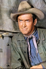 Imagen de Winchester 73 - 13