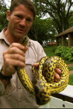 Imagen de Fauna letal: Uganda - 4