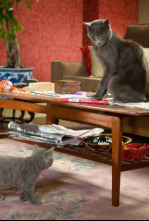 Imagen de Como perros y gatos: La revancha de Kitty Galore - 4