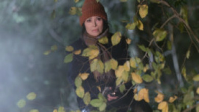 Imagen de Asesinato en Finisterre - 7