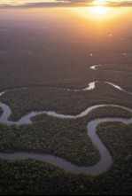 Imagen de Amazonia americana: Ríos secretos - 4