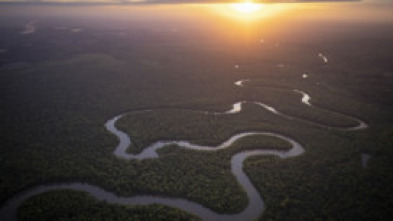 Imagen de Amazonia americana: Ríos secretos - 5